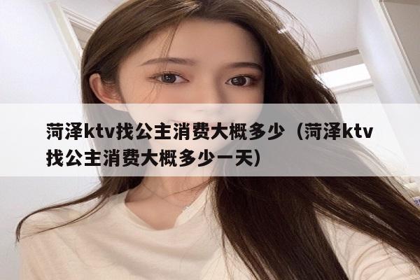 菏泽ktv找公主消费大概多少（菏泽ktv找公主消费大概多少一天）