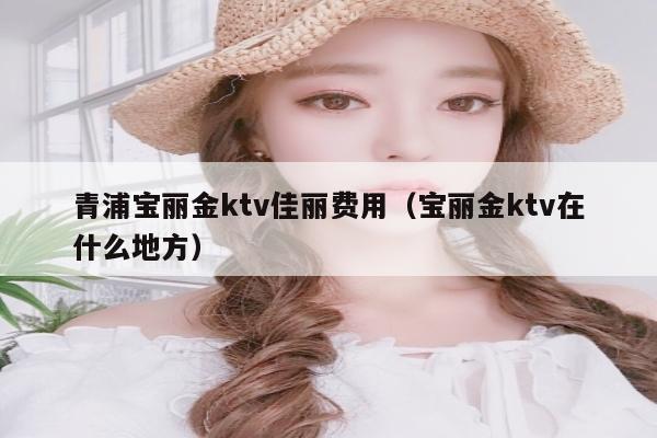 青浦宝丽金ktv佳丽费用（宝丽金ktv在什么地方）