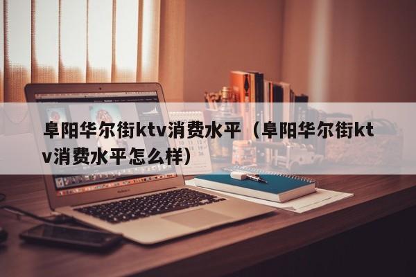 阜阳华尔街ktv消费水平（阜阳华尔街ktv消费水平怎么样）