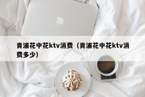 青浦花中花ktv消费（青浦花中花ktv消费多少）