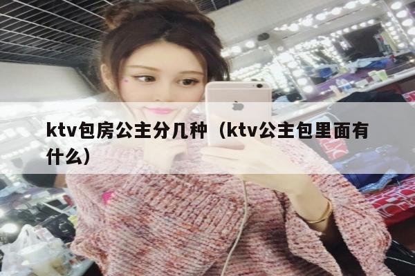 ktv包房公主分几种（ktv公主包里面有什么）