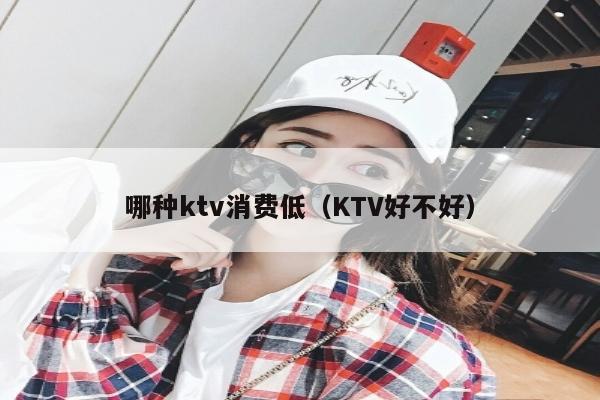 哪种ktv消费低（KTV好不好）