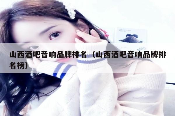 山西酒吧音响品牌排名（山西酒吧音响品牌排名榜）