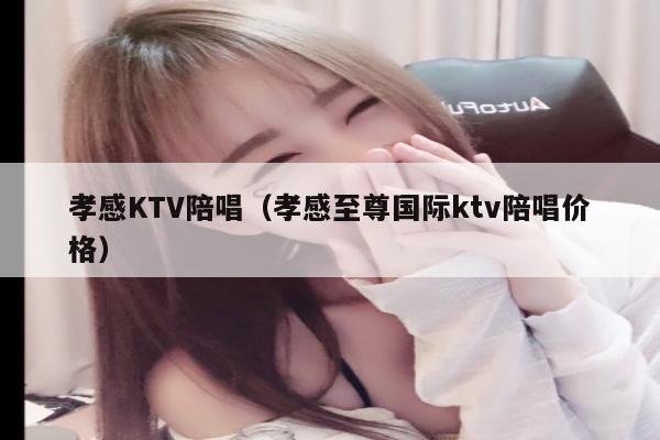 孝感KTV陪唱（孝感至尊国际ktv陪唱价格）