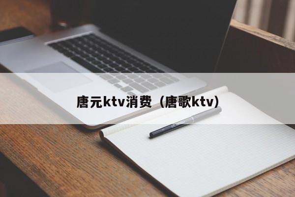 唐元ktv消费（唐歌ktv）